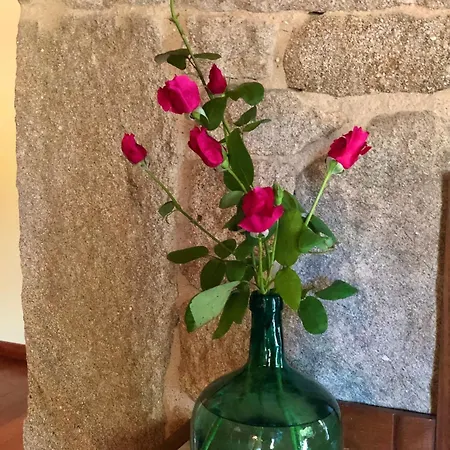 Gasamans De Arriba *