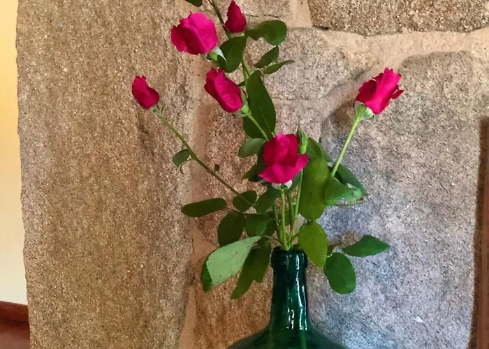 Gasamans De Arriba *