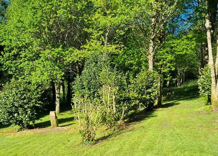 Gasamans De Arriba * Amés